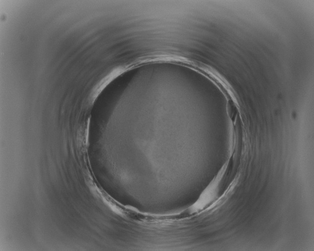 X0000084561385200703091734