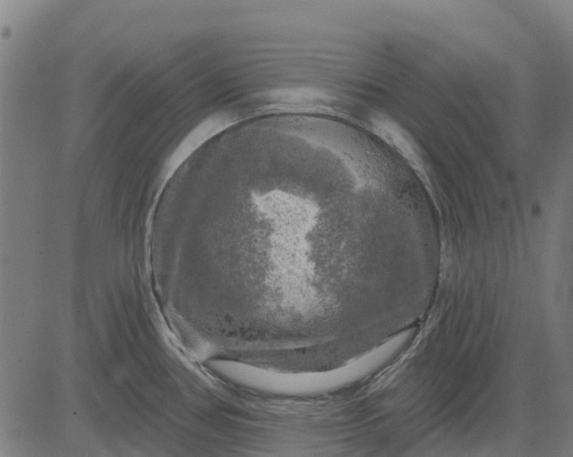 X0000084561386200703091734