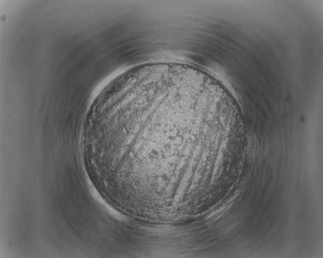 X0000084561387200703091734