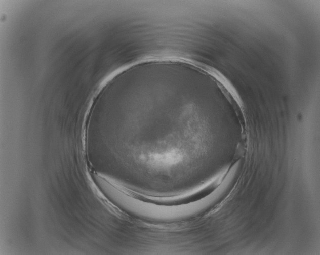 X0000084561388200703091734