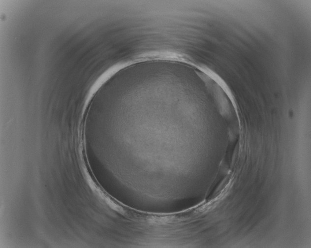 X0000084561389200703091734