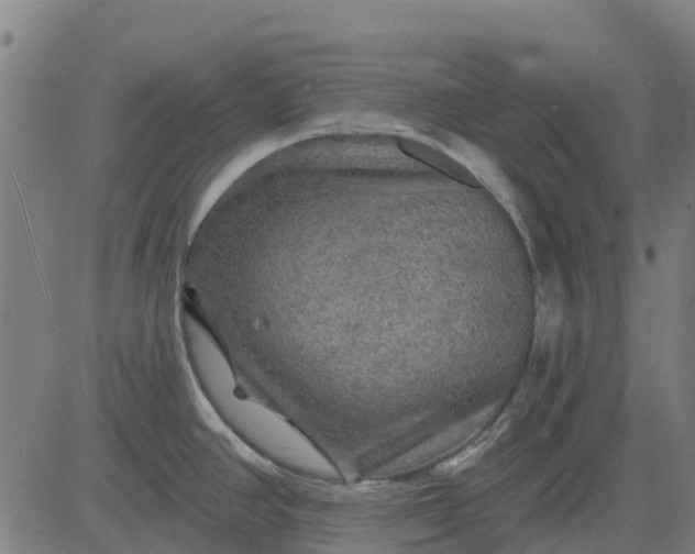 X0000084561390200703091734