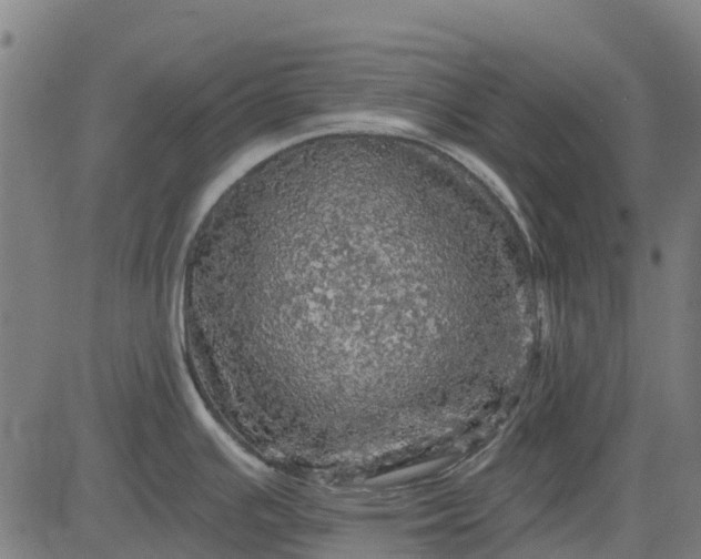 X0000084561391200703091734