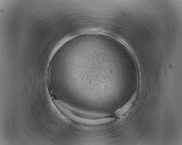 X0000084561392200703091734