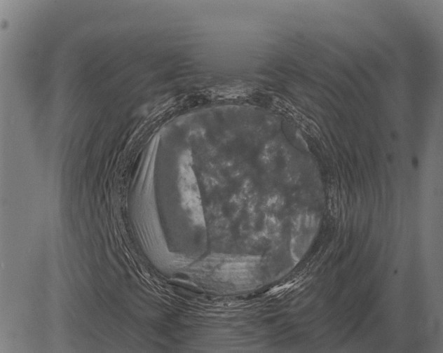 X0000084561393200703091733