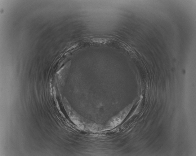 X0000084561394200703091733