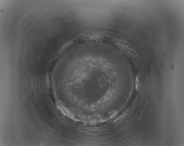 X0000084561395200703091733