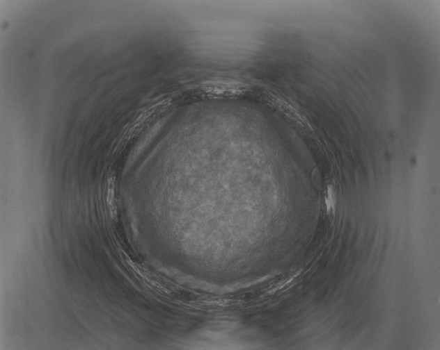 X0000084561396200703091733