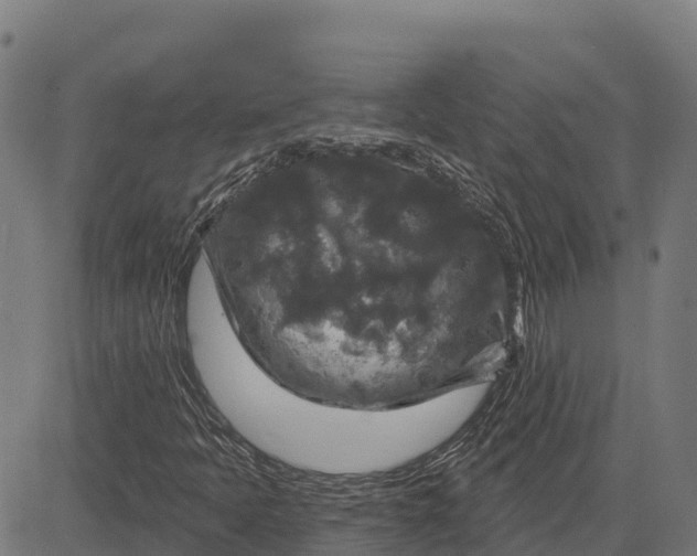 X0000084561397200703091733