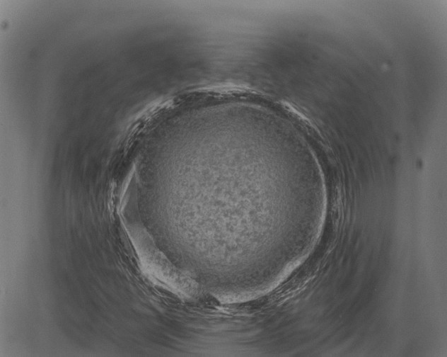 X0000084561398200703091733