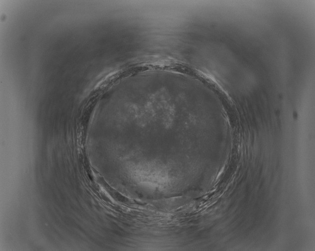 X0000084561399200703091733