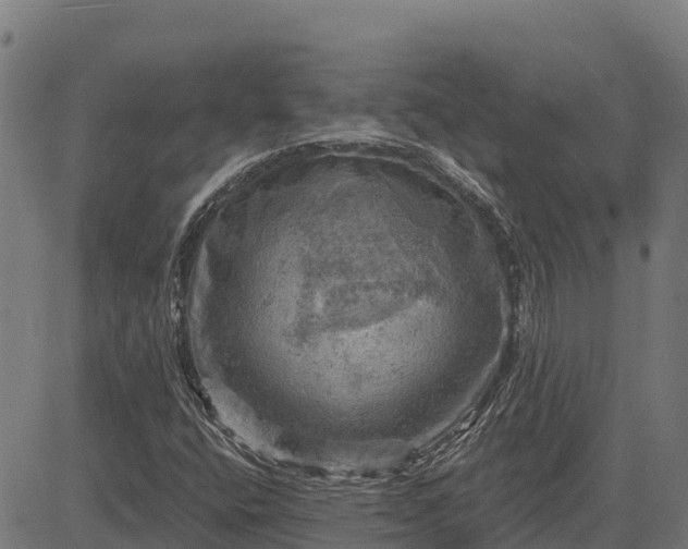 X0000084561400200703091733