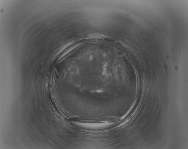 X0000084561401200703091733