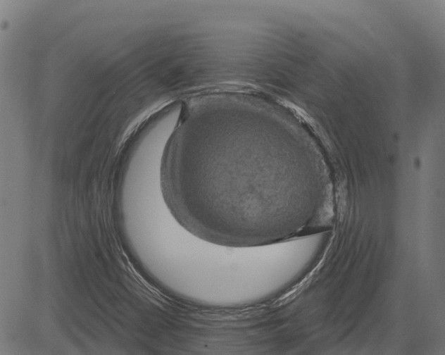 X0000084561402200703091733