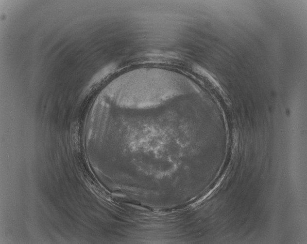 X0000084561403200703091733