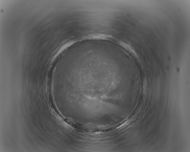 X0000084561404200703091733