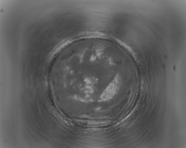 X0000084561407200703091733