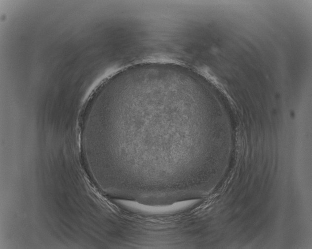 X0000084561408200703091733