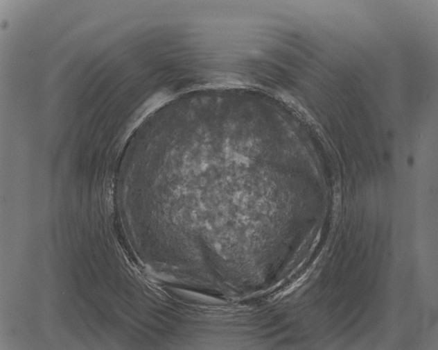 X0000084561409200703091733