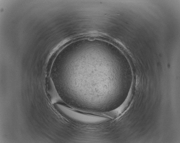 X0000084561410200703091733