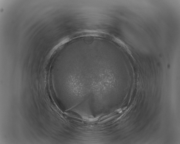 X0000084561411200703091733