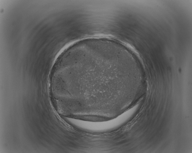 X0000084561412200703091733