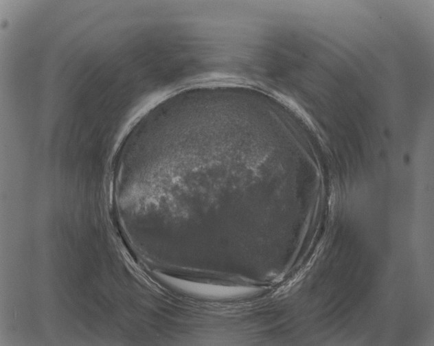 X0000084561413200703091733