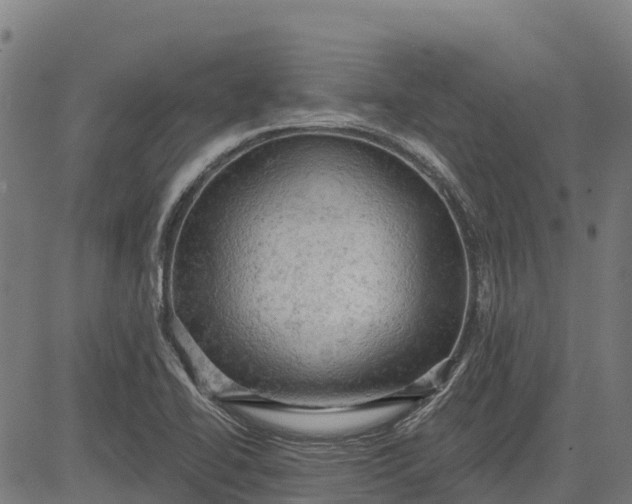 X0000084561414200703091733