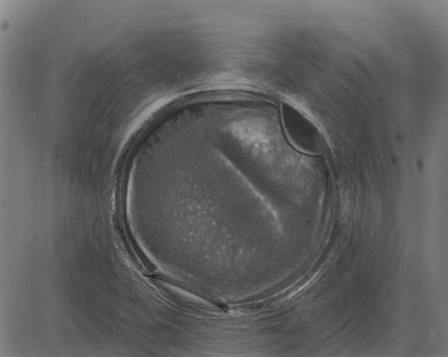 X0000084561415200703091733