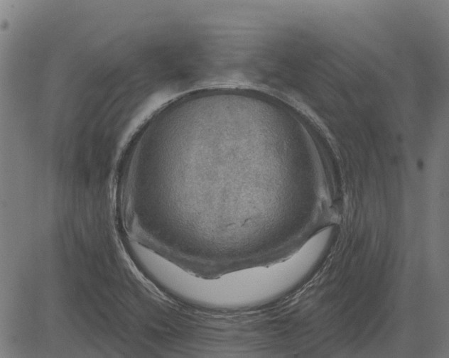 X0000084561416200703091733