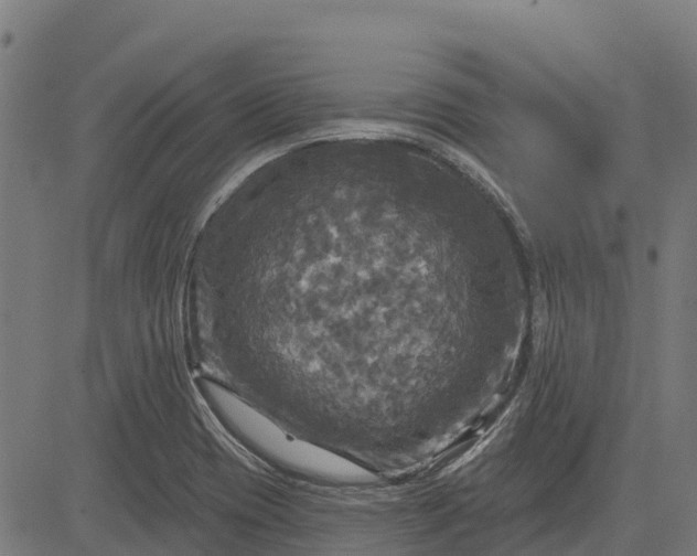 X0000084561417200703091733