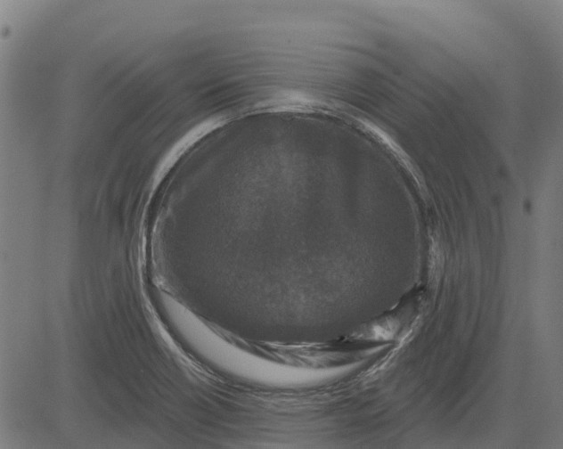 X0000084561418200703091733