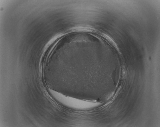 X0000084561419200703091733