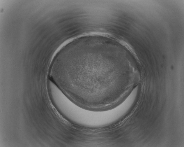 X0000084561420200703091733