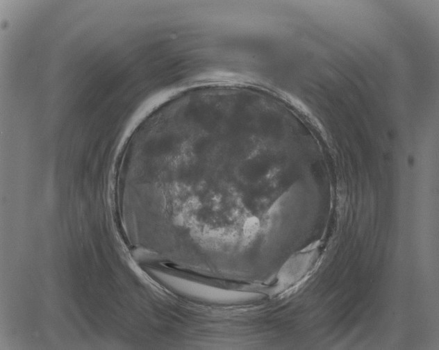 X0000084561421200703091733