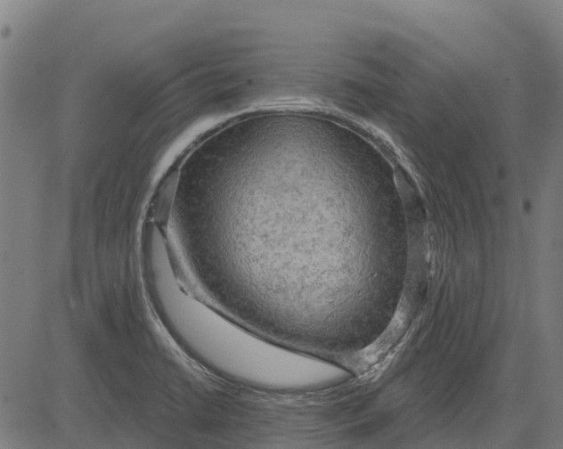 X0000084561422200703091733