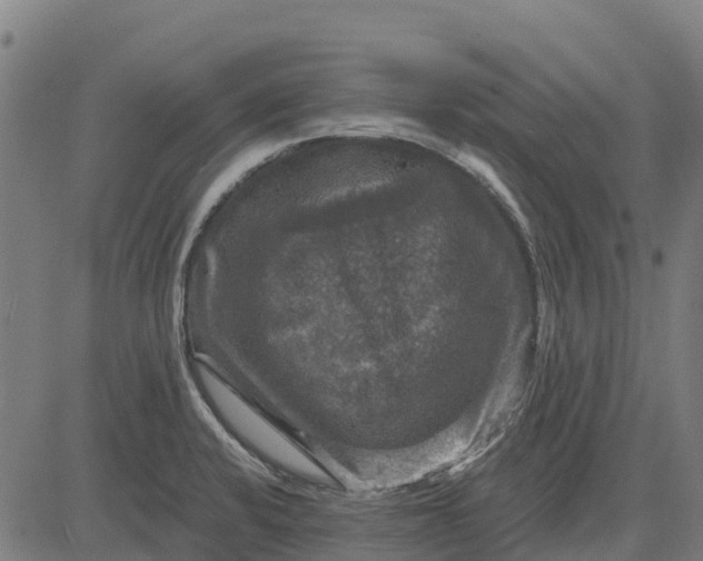 X0000084561424200703091733