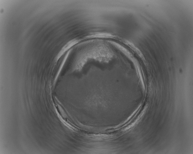 X0000084561425200703091733