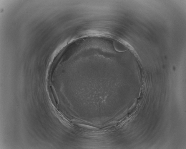 X0000084561427200703091733