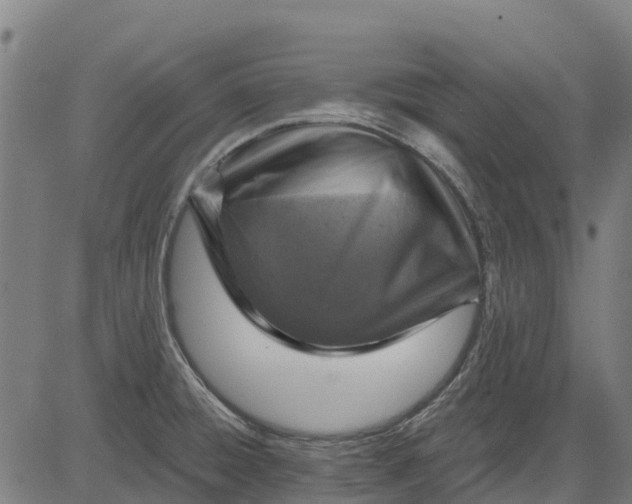 X0000084561428200703091733