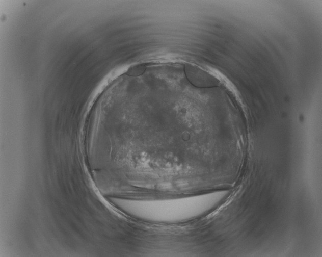 X0000084561429200703091734