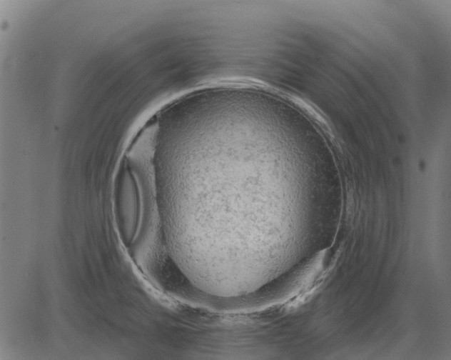 X0000084561430200703091734