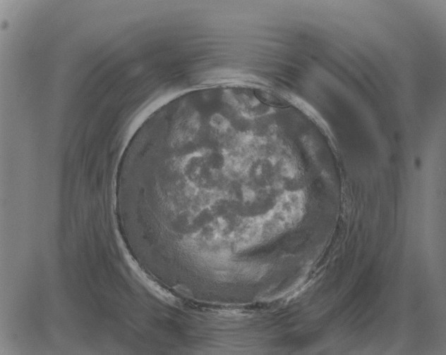 X0000084561431200703091734