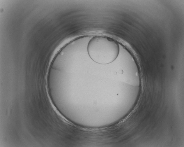 X0000084561432200703091734