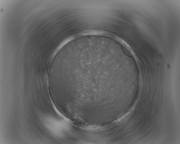 X0000084561433200703091734