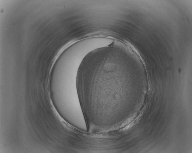 X0000084561434200703091734