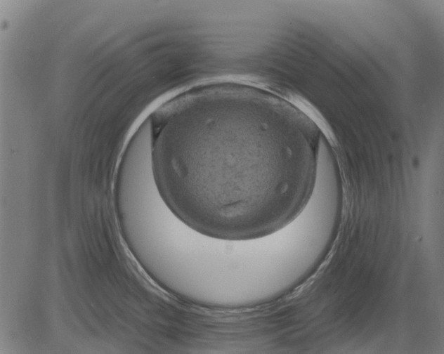 X0000084561436200703091734