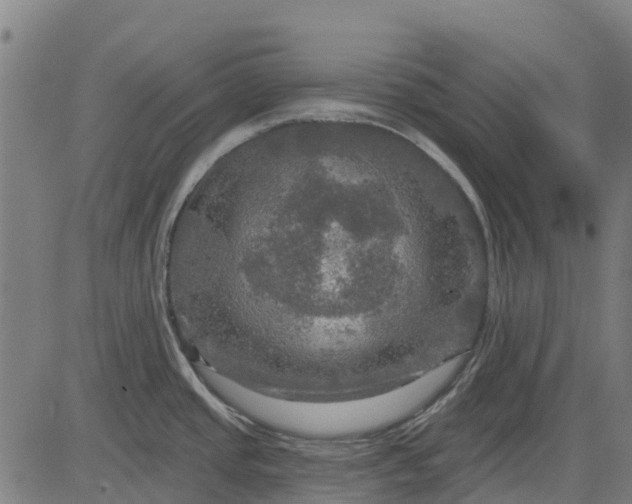 X0000084561437200703091734