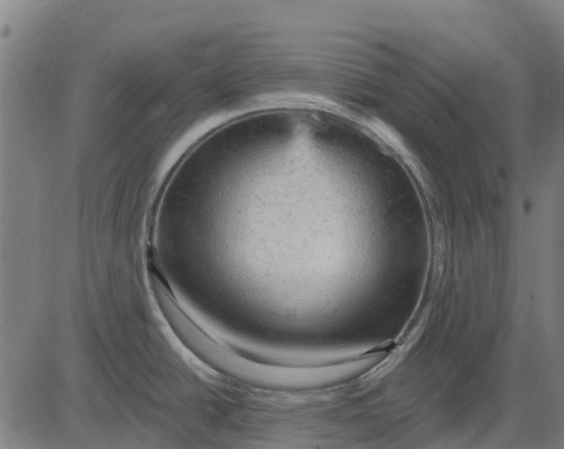 X0000084561438200703091734