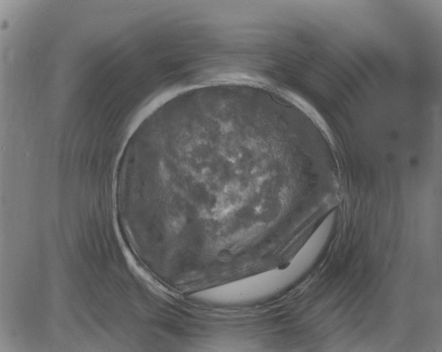 X0000084561439200703091734